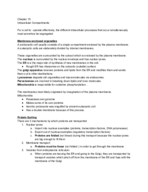 Chapter 15 Study Guide -- Jyoti 