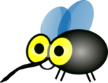 Mosquito