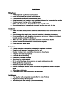 Set 2 of Unit 4 Notes