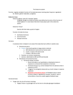 the endocrine stysem