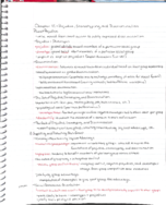 Social Psychology Chapter 11