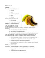 Biology 4.14.16