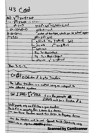 Calculus Differential Equations