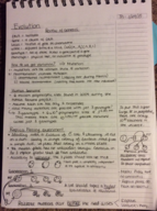 Evolution Notes