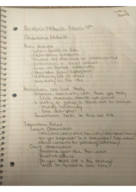 Social Research Methods week 8