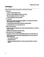 Sociology of Racial profiling 