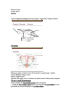 PSYCH/GWSS 357 Week 2 Notes - Endocrinology