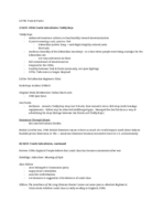 E379RPoetsAndPunks02-16,02-18.pdf