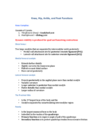 Functions of the Hip, Knee, Ankle, and Foot