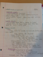 Social Work Notes 4/20/16