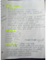 STAT 2300 FINAL EXAM STUDY GUIDE