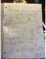 Week 14 Notes