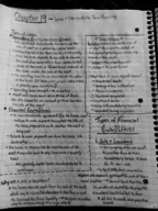 Chapter 19 Finance Notes