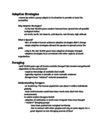 Anthropology Notes 4/21/16 Exam 4