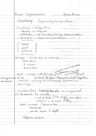 Visual Organization - Dorey Brown