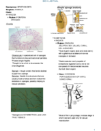 Final Study Guide