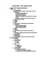Anatomy Test 4