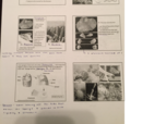 Bio Diversity PPT notes on animals from class 4/27