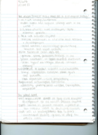 Poli sci 103 Notes 4/26-4/28
