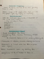 Psychology 101-Week 3