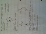 Organic Chemistry Week 5 Notes