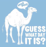 Wednesday quiz notes 