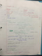 Male and Female Reproductive System 