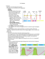 Unit 4 Exam