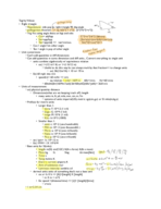 Physics 1 Semester Notes/Study Material