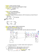 Organic Chemistry 1 Class Notes/Material for whole semester