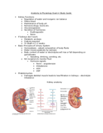 Anatomy and Physiology 020 Final Exam Study Guide