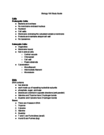Bio 190 Study guide