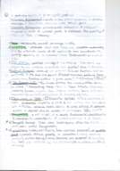 Final Study Guide for POSC 200