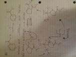 Organic Chemistry week 9 lecture notes