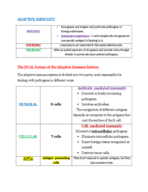 Immune System