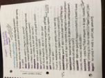 Business Principles Chapter 1- Taking Risks & Making Profits