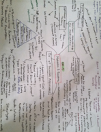 Psych Notes Ch. 9, 10, 12