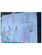 brain study guide/diagrams 