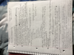 Sociology 310 (US Society)