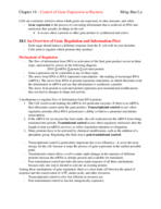 Chapter 18 - Control of Gene Expression in Bacteria