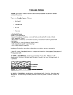 Tissues - Histology