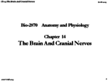 BIO2870 Chapter 14 Slides and Lecture Notes