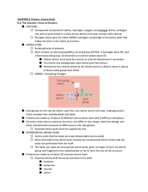 Exam 2 Study Guide