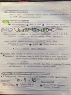 Biology I FULL SEMESTER NOTES