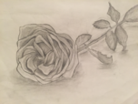 Practice Upload