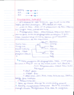 Phylogenetic Analysis