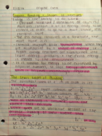 CH 231 Chapter 1 Notes