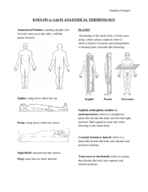 Anatomical Terminology with Visual Aids