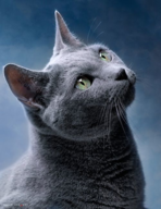 EST 200, Week 1 Notes