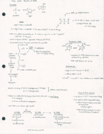 Molecular Biology Class Notes Week 1